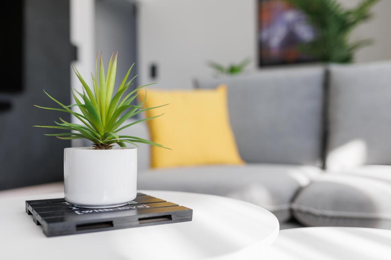 Noir Hotel - Penthouse Apartman سيغيد المظهر الخارجي الصورة